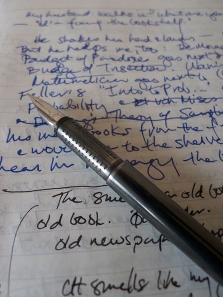 Fountain Pen. Photo by Nina Zumel
