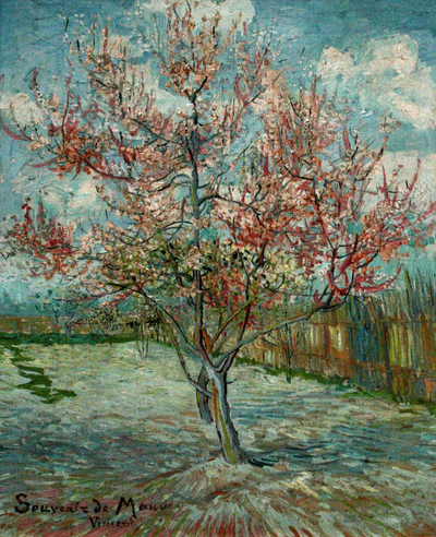 Painting of a peach tree in full bloom, with pink blossoms. The tree stands in a fenced garden. In the background, a blue sky with clouds.