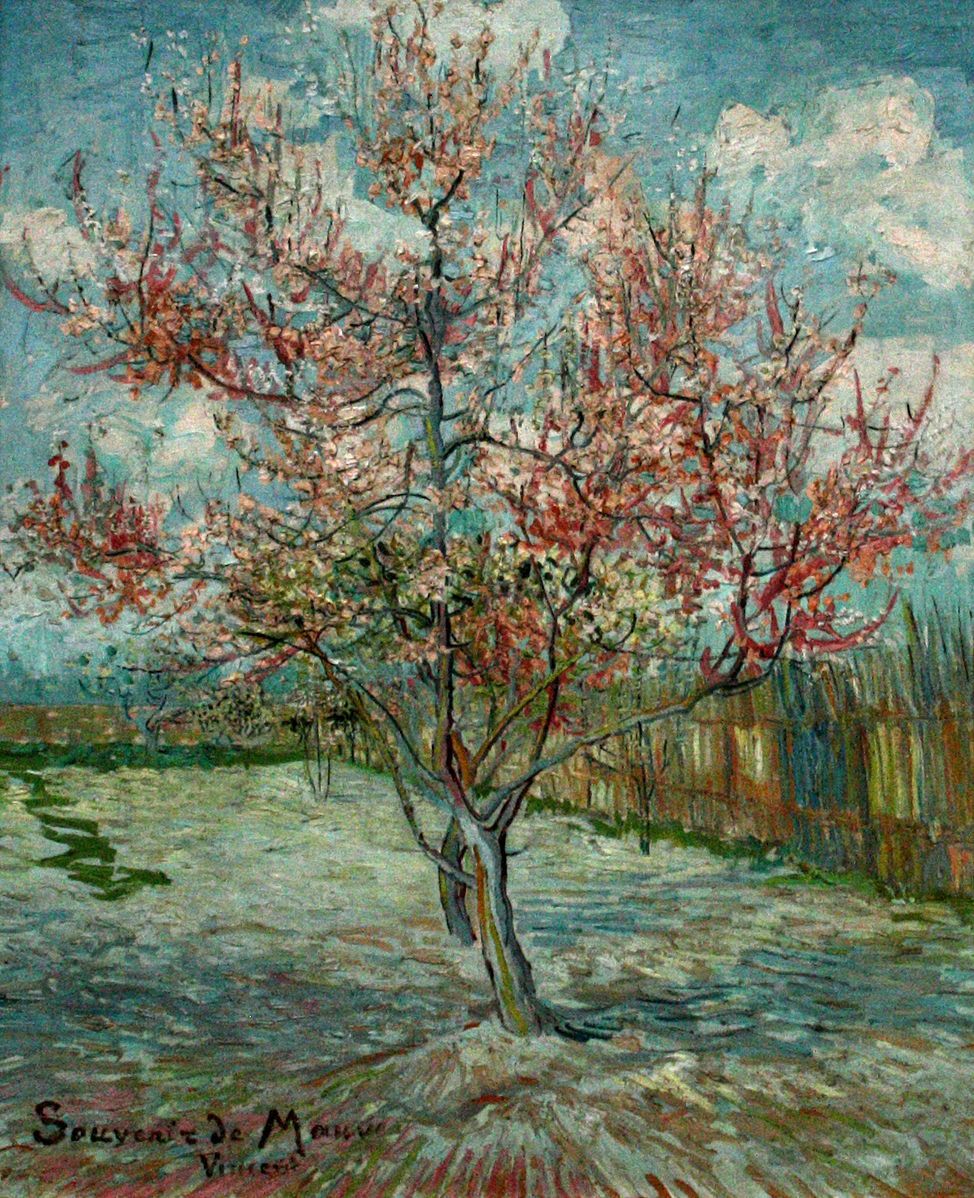 Painting of a peach tree in full bloom, with pink blossoms. The tree stands in a fenced garden. In the background, a blue sky with clouds.